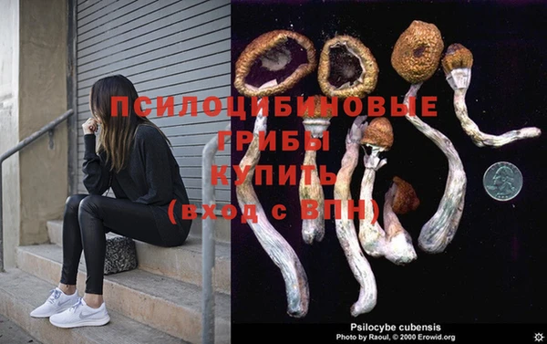 меф Арсеньев
